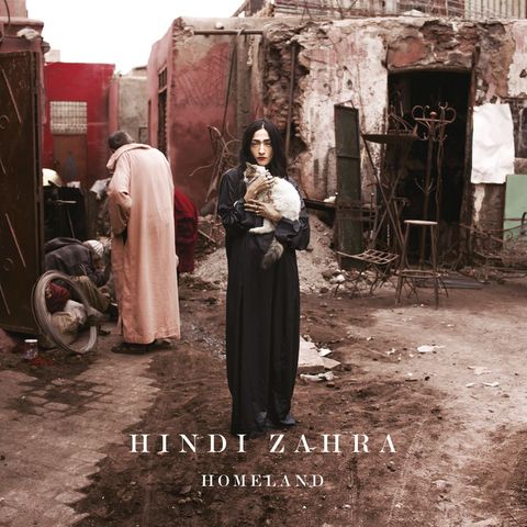 Hindy Zahra Homeland