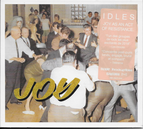 Idles joy as an act of resistance cover