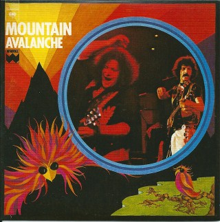 Mountain Avalanche