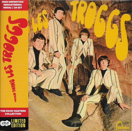 The Troggs Wild thing cover