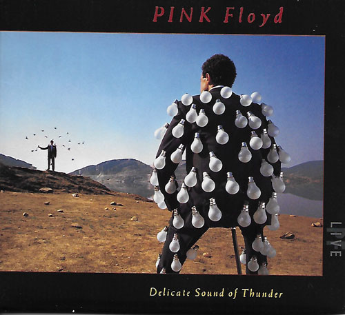 Pink Floyd Delicate sound of thunder cover