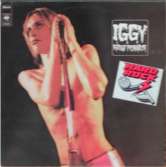 Iggy and The Stooges Raw Power