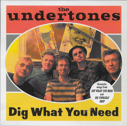 The Undertones Dig what you need cover